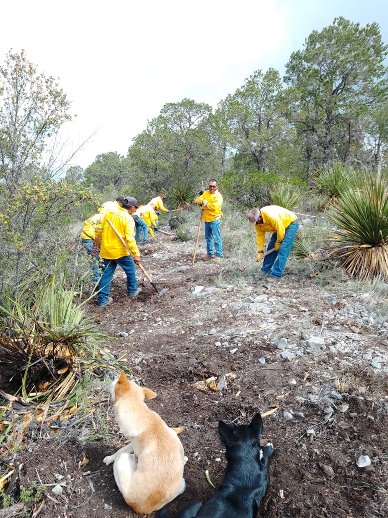 Trabajos de construcción y rehabilitación de brechas cortafuego